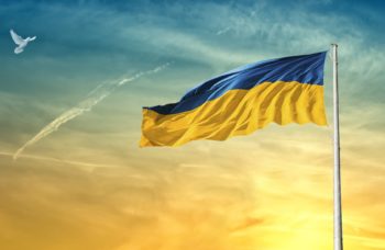 Ukraine Flag