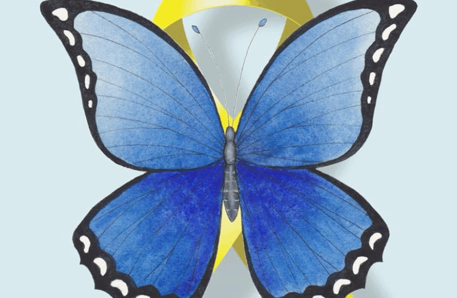 Wings of Hope front cover