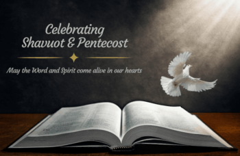 An open bible and dove are lit up by a ray of light