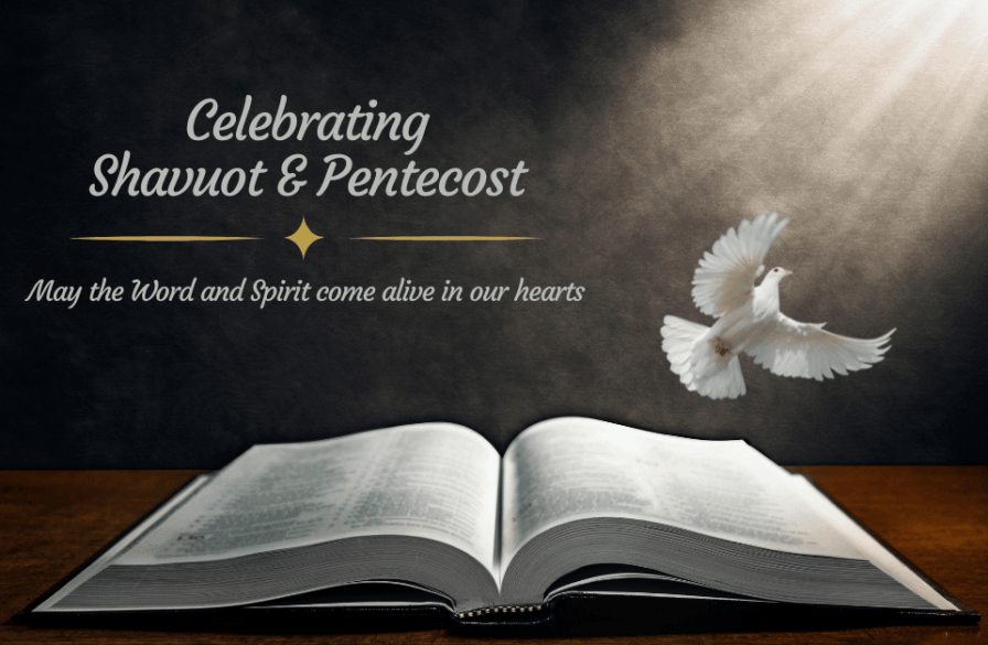 An open bible and dove are lit up by a ray of light